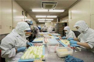 凈化裝修供應商,價格,凈化裝修批發市場 